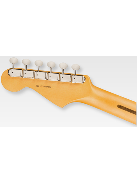 FD-AM-PRO-CS-STRAT-FDB-05 Fender American Professional Classic Stratocaster