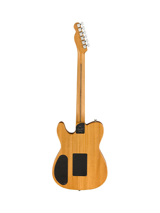 FD-AM-ATS-TELE-BACK.jpg