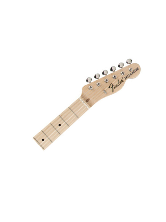 Fender Classic 69 Telecaster | Music Concept