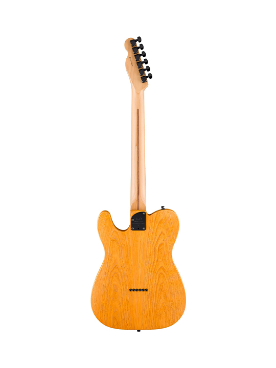 Fender American Professional II Telecaster HH Roasted Maple Neck Limited Edition
