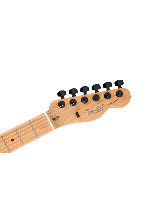 Fender American Professional II Telecaster HH Roasted Maple Neck Limited Edition