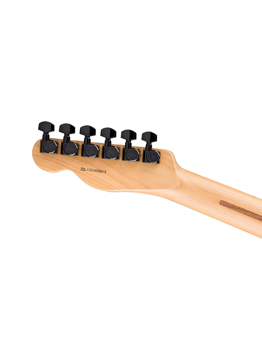 Fender American Professional II Telecaster HH Roasted Maple Neck Limited Edition