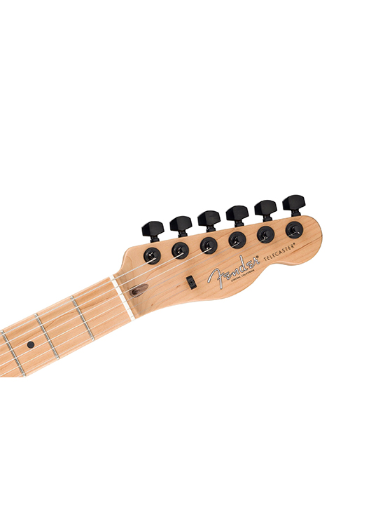 Fender American Professional II Telecaster HH Roasted Maple Neck Limited Edition