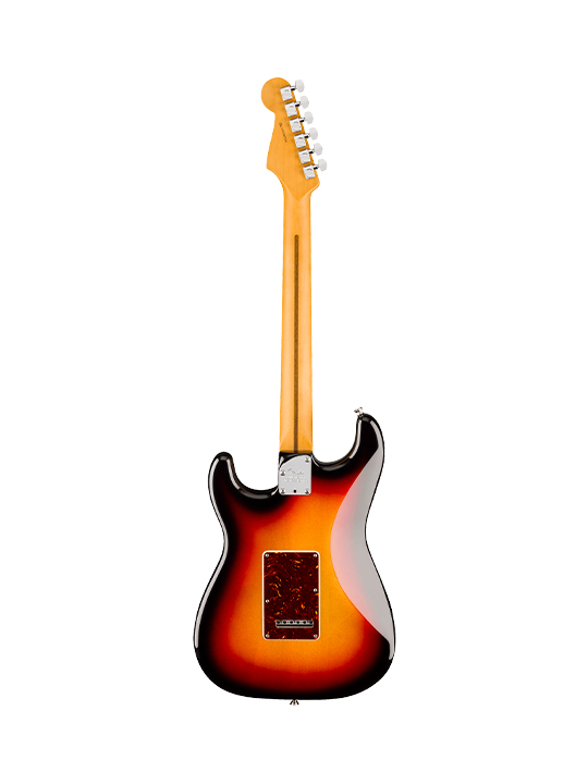Fender New American Professional Stratocaster HSS (Alder Body)