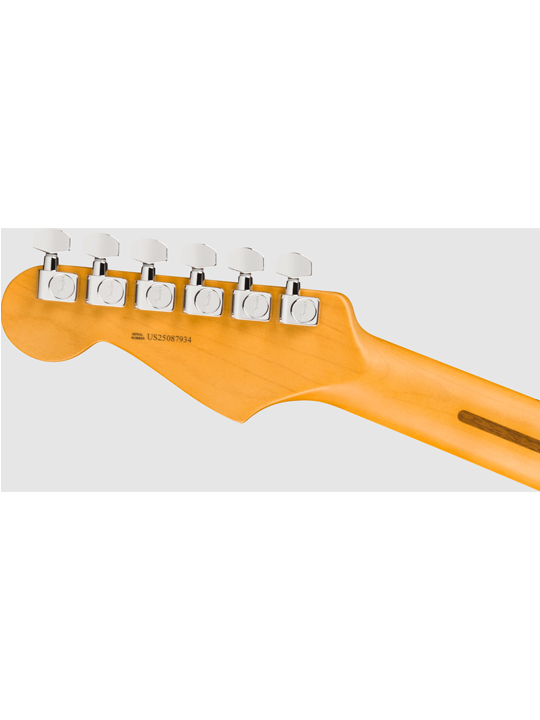 Fender New American Professional Stratocaster HSS (Alder Body)