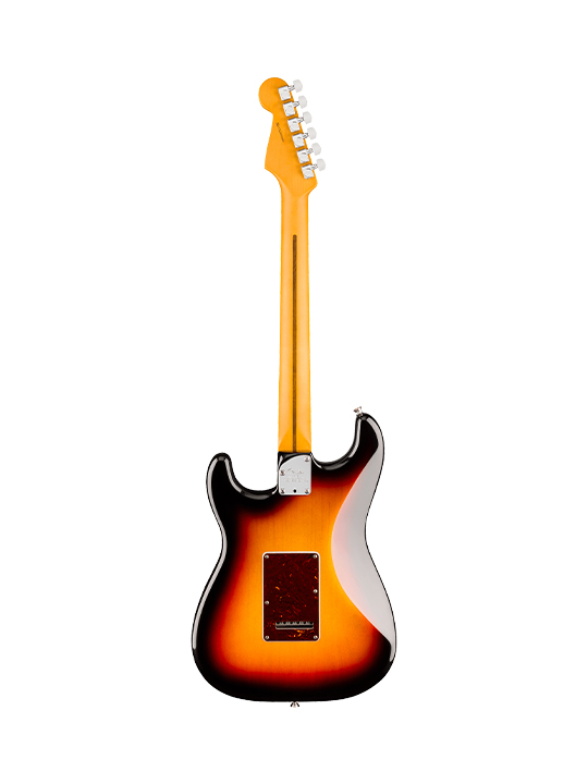 Fender New American Professional Stratocaster HSS (Alder Body)