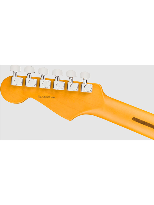 Fender New American Professional Stratocaster HSS (Alder Body)