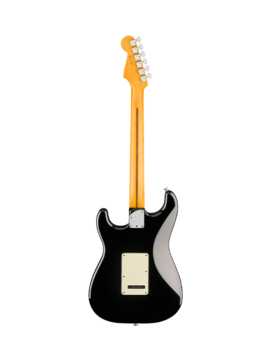 Fender New American Professional Stratocaster HSS (Alder Body)