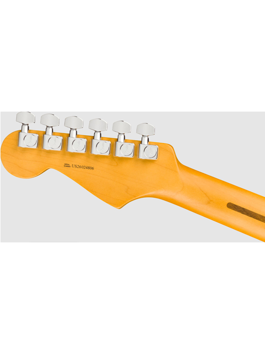 Fender New American Professional Stratocaster HSS (Alder Body)