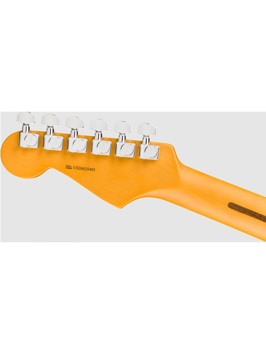 Fender New American Professional Stratocaster HSS (Alder Body)