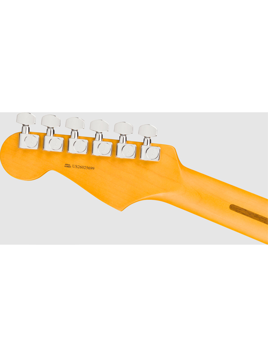 Fender New American Professional Stratocaster HSS (Alder Body)