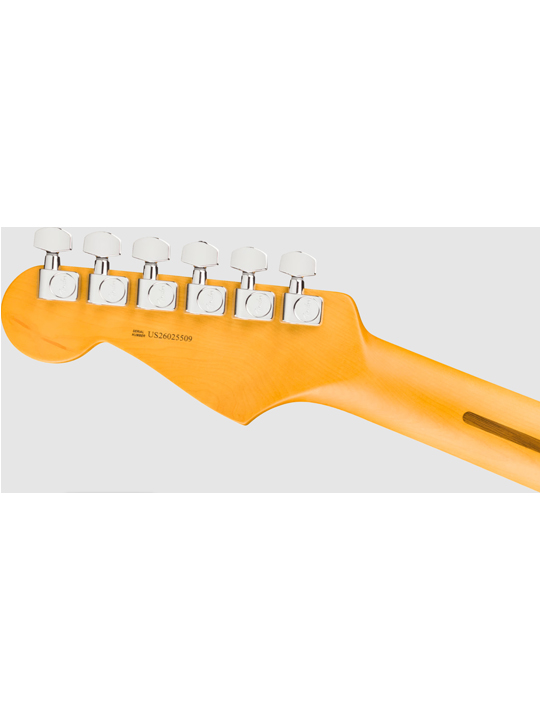 Fender New American Professional Stratocaster HSS (Alder Body)