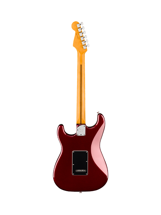 Fender New American Professional Stratocaster HSS (Alder Body)