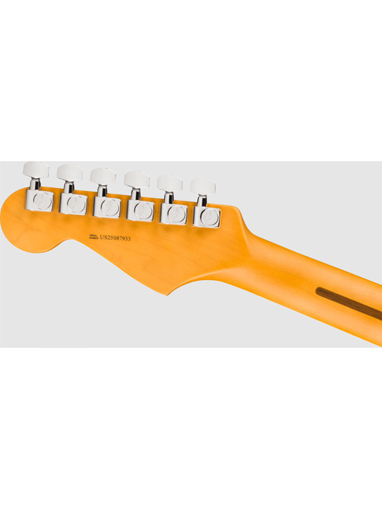 Fender New American Professional Stratocaster HSS (Alder Body)