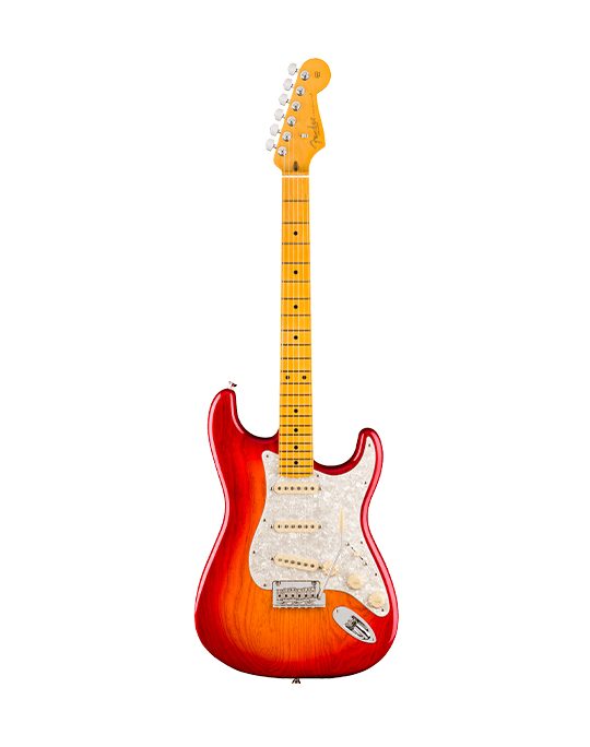 Fender New American Professional Stratocaster (Ash Body)