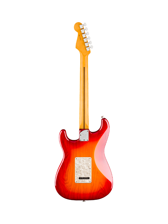 Fender New American Professional Stratocaster (Ash Body)