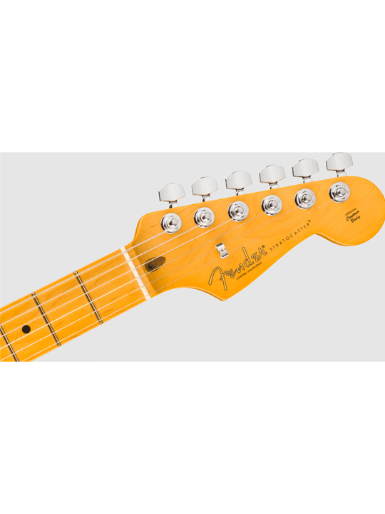 Fender New American Professional Stratocaster (Ash Body)