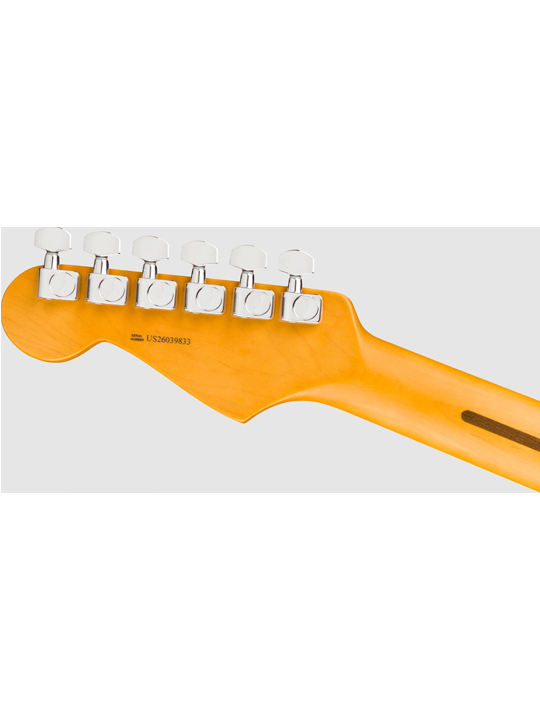 Fender New American Professional Stratocaster (Ash Body)