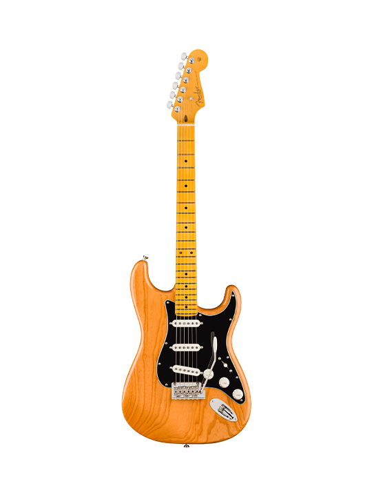 Fender New American Professional Stratocaster (Ash Body)