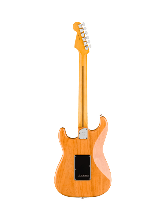 Fender New American Professional Stratocaster (Ash Body)