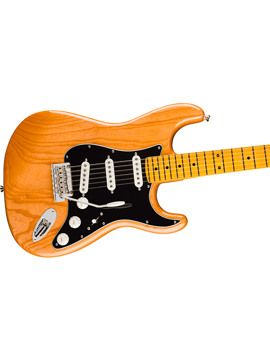 Fender New American Professional Stratocaster (Ash Body)