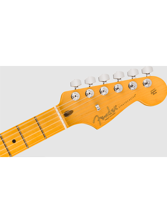 Fender New American Professional Stratocaster (Ash Body)
