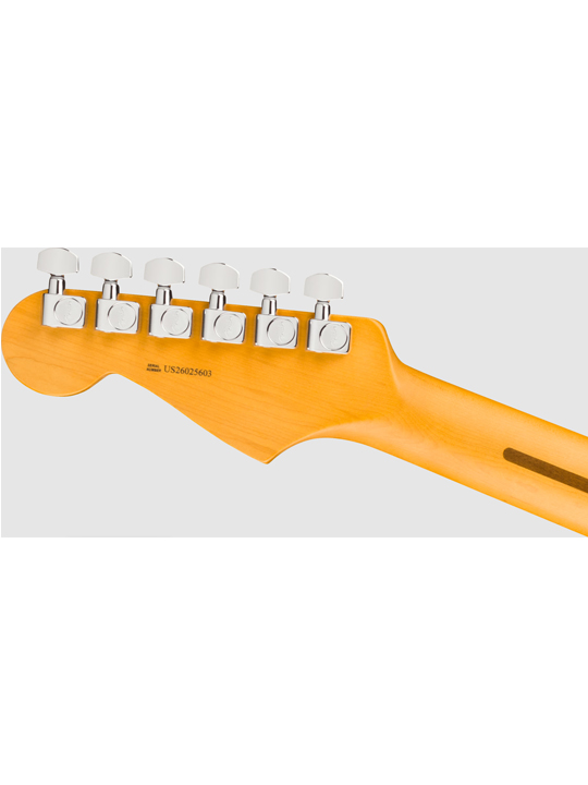 Fender New American Professional Stratocaster (Ash Body)